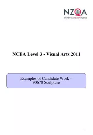 NCEA Level 3 - Visual Arts 2011