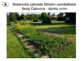 botanick zahrada st edn zem d lsk koly dalovice sb rka zrnin