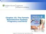 Chapter 15: The Female Reproductive System; Pregnancy and Birth
