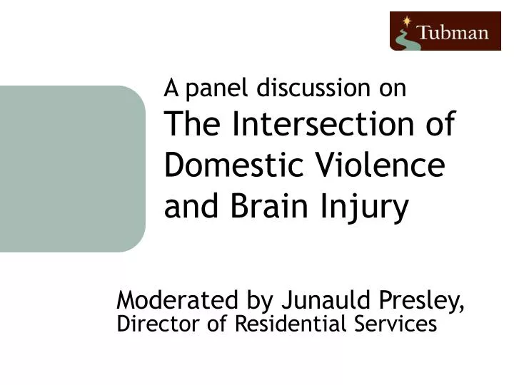 a panel discussion on the intersection of domestic violence and brain injury