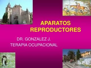 aparatos reproductores