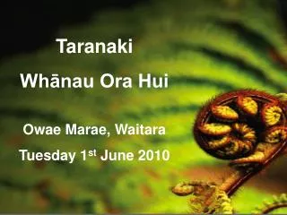 Taranaki Wh?nau Ora Hui Owae Marae, Waitara Tuesday 1 st June 2010