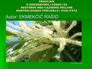 pravilnik o geografskoj oznaci za kestenov med cazinske krajine kontrolisanog porijekla i kvaliteta