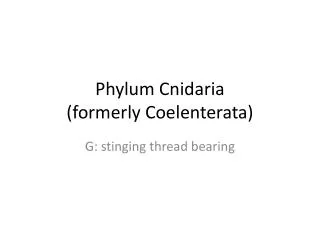 Phylum Cnidaria (formerly Coelenterata)