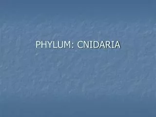 PHYLUM: CNIDARIA