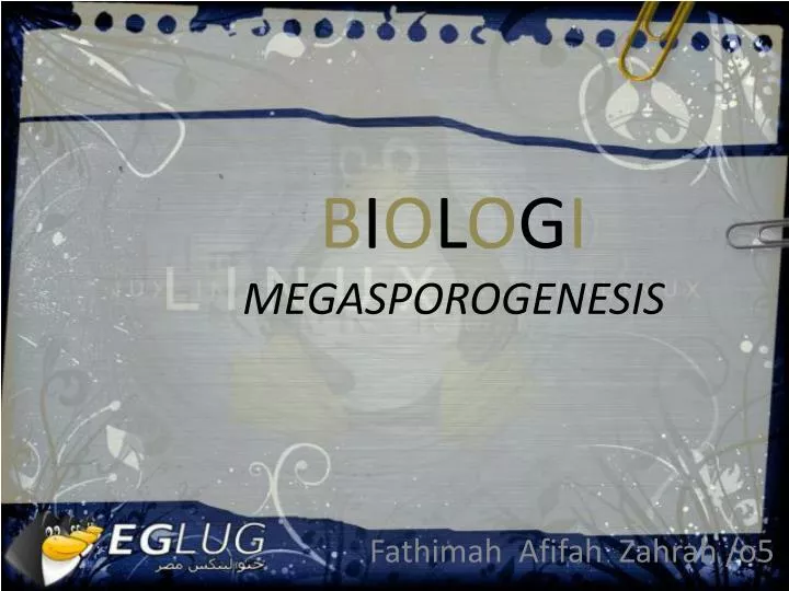 b i o l o g i megasporogenesis