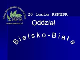 20 lecie psnnpr