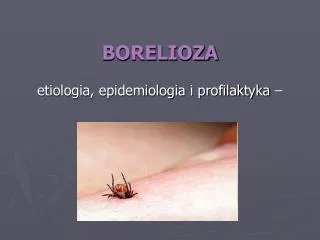borelioza