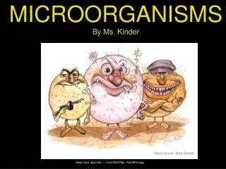 MICROORGANISMS By Ms. Kinder