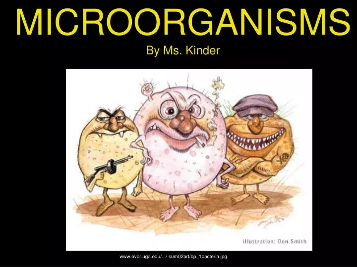 microorganisms by ms kinder