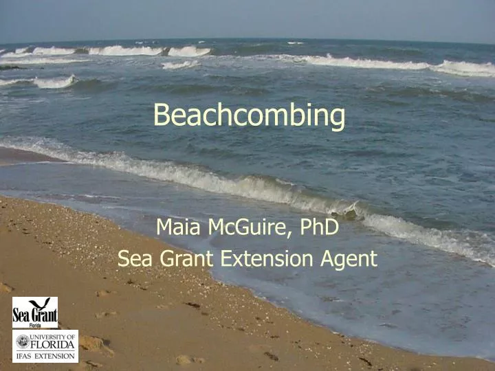 beachcombing