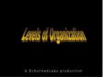 Levels of Organization - slide 1