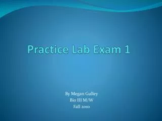 Practice Lab Exam 1