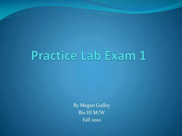 practice lab exam 1