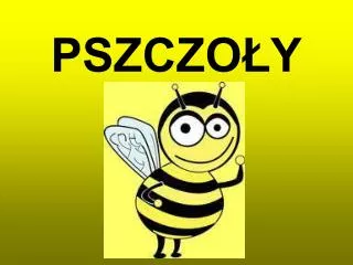 pszczo y