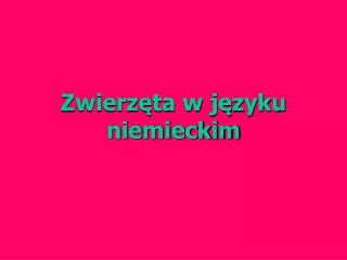 zwierz ta w j zyku niemieckim