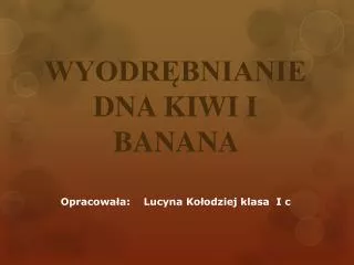 wyodr bnianie dna kiwi i banana