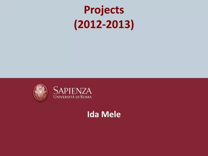 projects 2012 2013