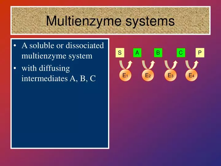 multienzyme systems