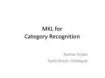 MKL for Category Recognition - slide 1