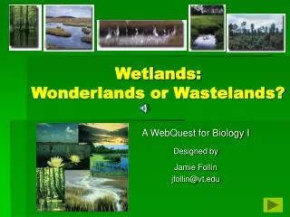 Wetlands: Wonderlands or Wastelands?