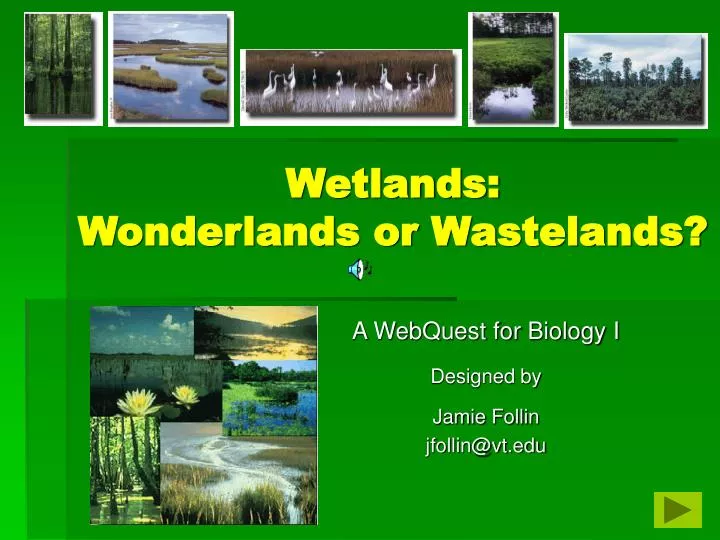 wetlands wonderlands or wastelands