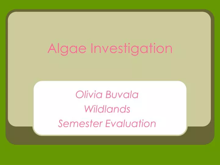 algae investigation