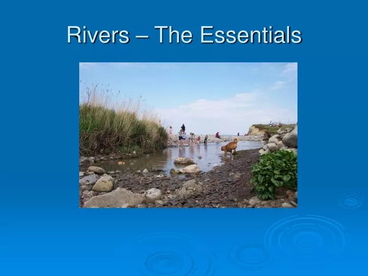 rivers the essentials