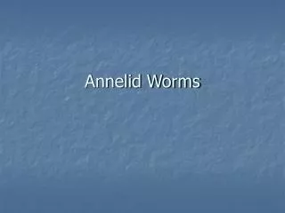 Annelid Worms