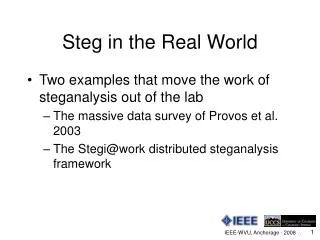 Steg in the Real World