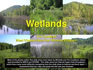 Wetlands Tim Craddock West Virginia Save Our Streams Program