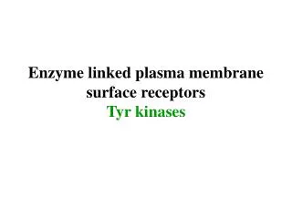 Enzyme linked plasma membrane surface receptors Tyr kinases