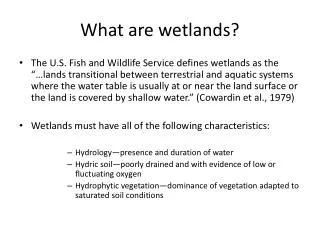 What are wetlands?