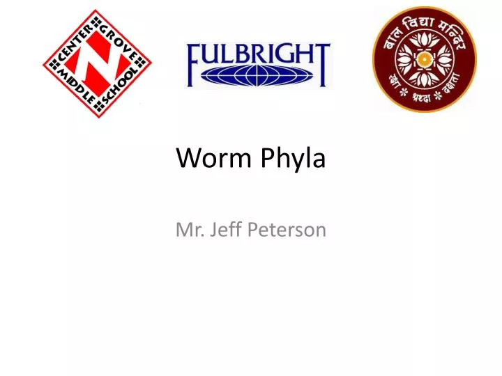 worm phyla