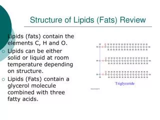 Structure of Lipids (Fats) Review