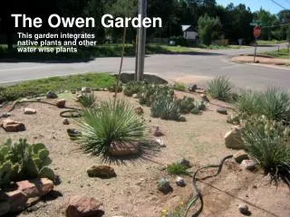 The Owen Garden