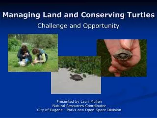 Managing Land and Conserving Turtles