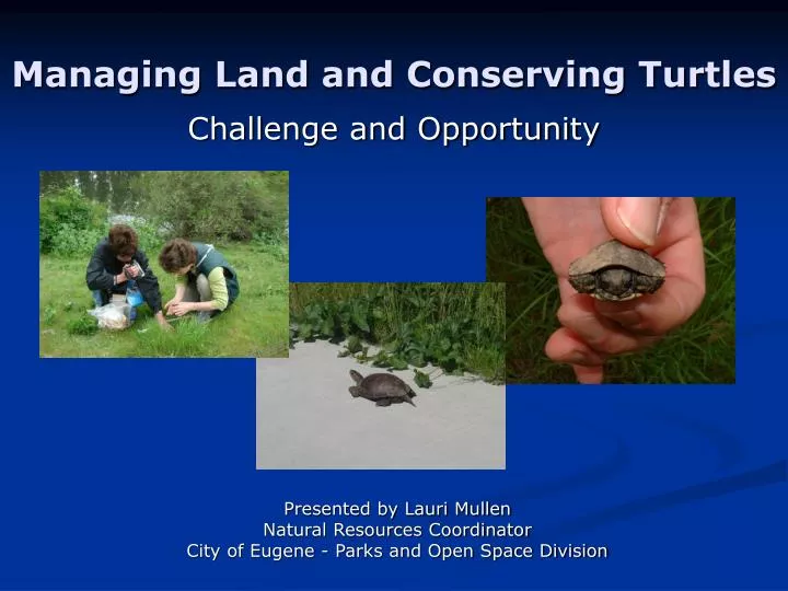 managing land and conserving turtles