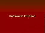 Hookworm Infection - slide 1