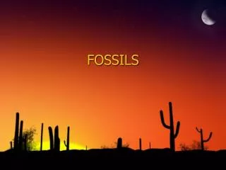 FOSSILS