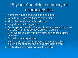 Phylum Annelida: summary of characteristics