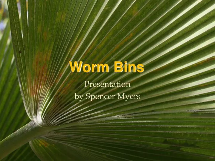 worm bins