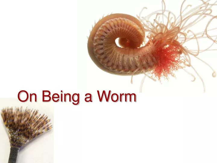 on being a worm