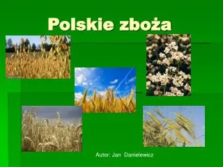 polskie zbo a