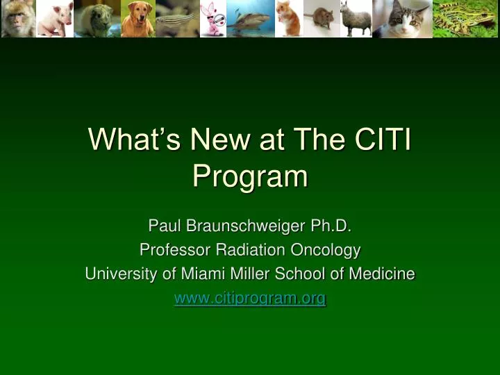 what s new at the citi program