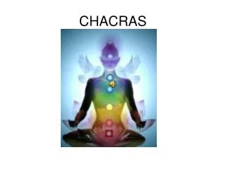 chacras