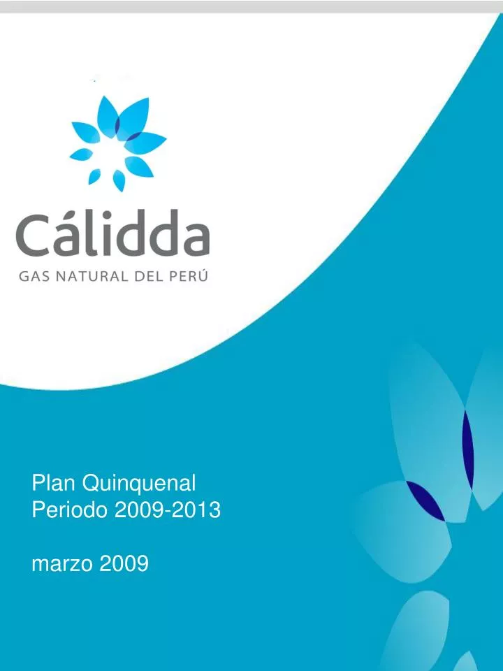 plan quinquenal periodo 2009 2013 marzo 2009