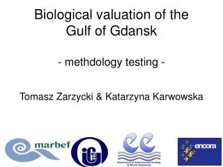 Biological valuation of the Gulf of Gdansk - methdology testing -
