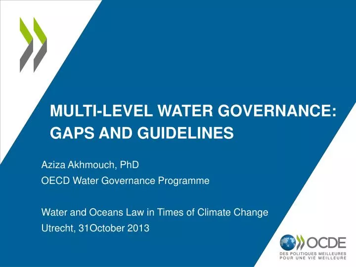 multi level water governance gaps and guidelines