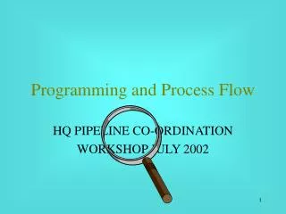 Programming and Process Flow
